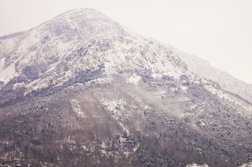 “DSC_0007”.jpg