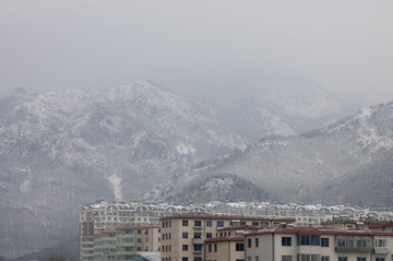 “DSC_0038”.jpg