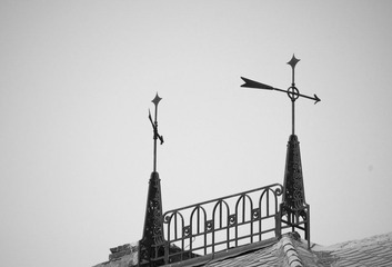 DSC_05633.jpg