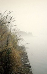 DSCN0080.JPG