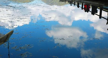 DSC_22a12.jpg