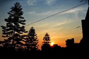 DSC_0209.JPG