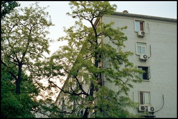 Scan-130628-0070-2.jpg