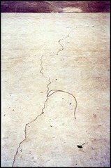 Scan-130628-0055-2.jpg