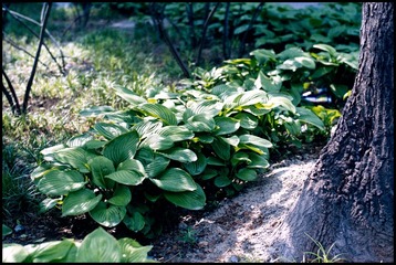 Scan-130703-0001-2.jpg
