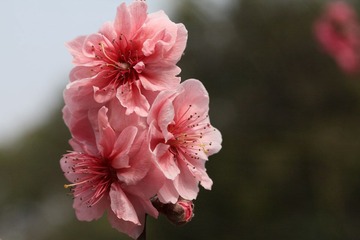 IMG_9417.JPG