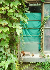 P1050019_副本.jpg