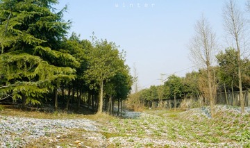 P1050338_副本.jpg