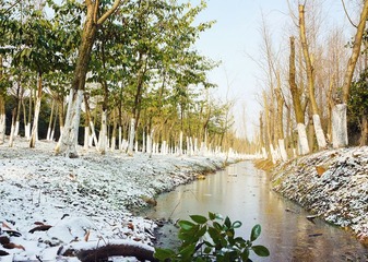 P1050354_副本.jpg