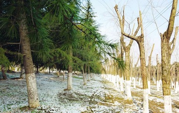 P1050365_副本.jpg