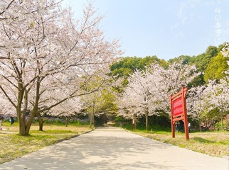 P1060240_副本.jpg