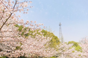 P1060255_副本.jpg