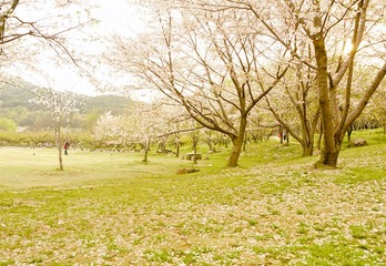 P1060370_.jpg