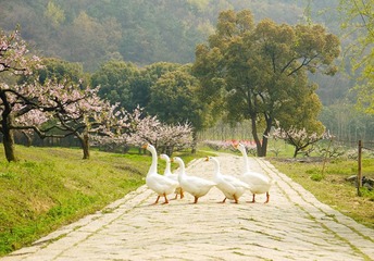 P1060332_副本.jpg