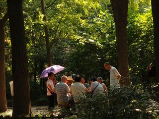 林荫漏阳照20110916_135013_067.JPG