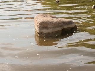 慢速快门摄巨石水波20110918_151416002.jpg