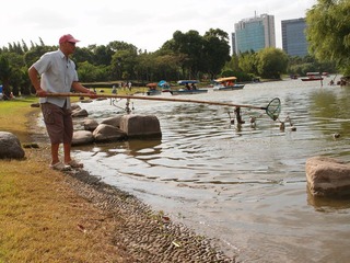 园工清理湖面20110918_151349001.jpg