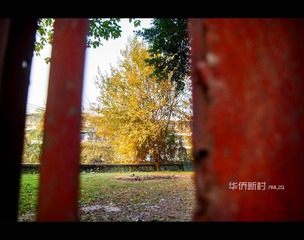 IMGP7216.jpg