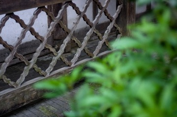 _IGP3752.jpg