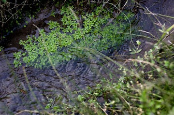 _IGP9028.jpg