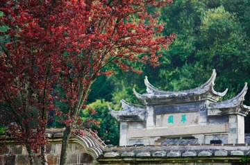 “_IGP3808”为智能对象-1.jpg