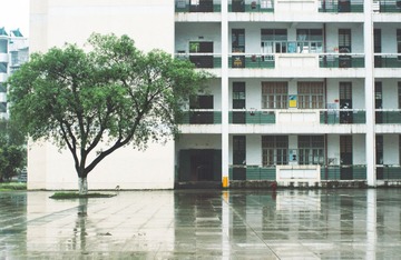 “_IGP0796”为智能对象-1.jpg