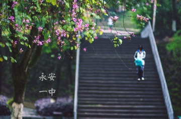 “_IGP0777”为智能对象-1.jpg
