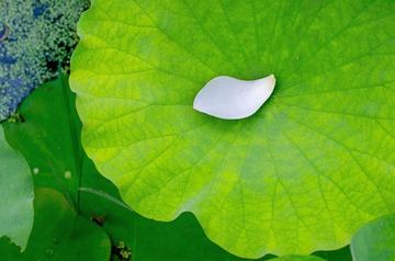 “_IGP5611”为智能对象-2.jpg