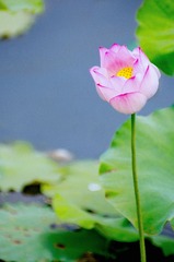 “_IGP5631”为智能对象-2.jpg