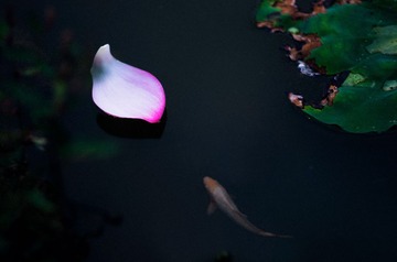 “_IGP5737”为智能对象-1.jpg