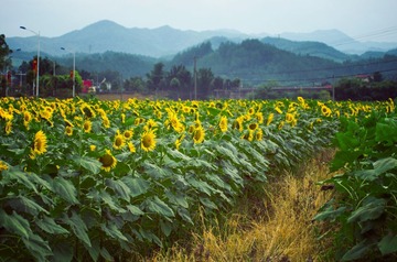 “_IGP5888”为智能对象-1.jpg