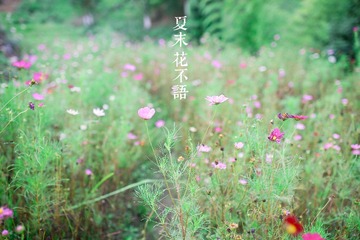 “IMG_1296”为智能对象-1.jpg