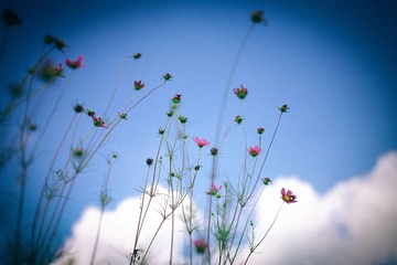 IMG_1285.jpg