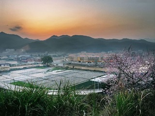 “IMG_0230”为智能对象-1