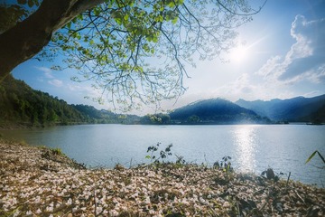“IMG_4343”为智能对象-1