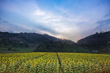 “IMG_0456”为智能对象-1