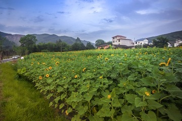 “IMG_0466”为智能对象-1