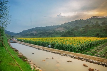 “IMG_0471”为智能对象-1