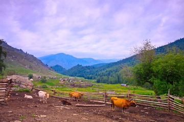_MG_6240-3.jpg