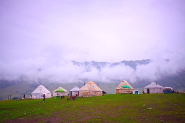 _MG_6384-8.jpg