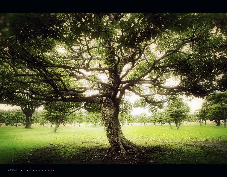 a tree<br />
