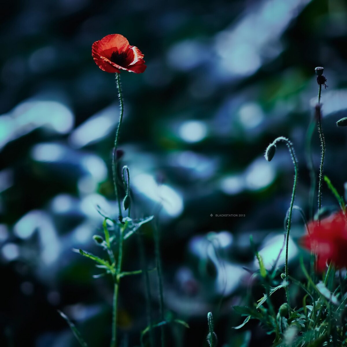 _D3_1050-s<br />