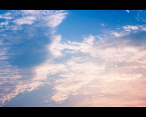 IMG_4913-s.jpg