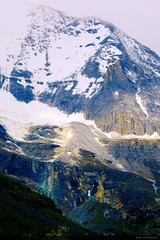 _MG_7727.jpg