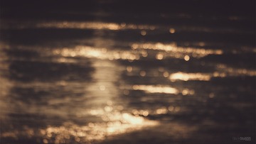 _DSC5323-s