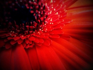 C360_2011-07-25 14-53-44