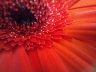 C360_2011-07-25 14-53-44_org