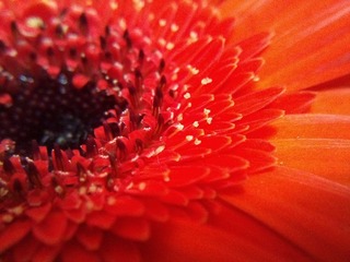 C360_2011-07-25 14-58-40_org