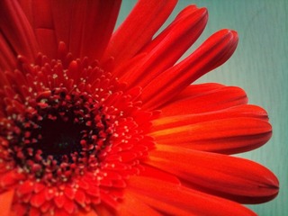 C360_2011-07-25 15-01-49