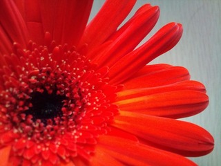 C360_2011-07-25 15-01-49_org